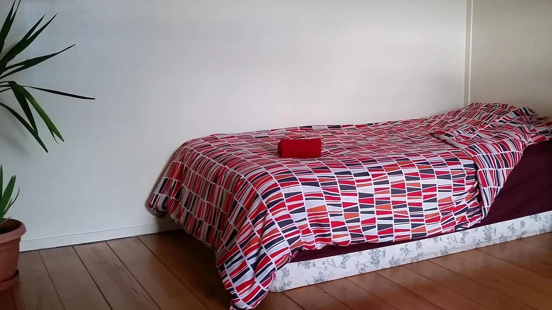 Aussiewolf Share House Hotel Cairns
